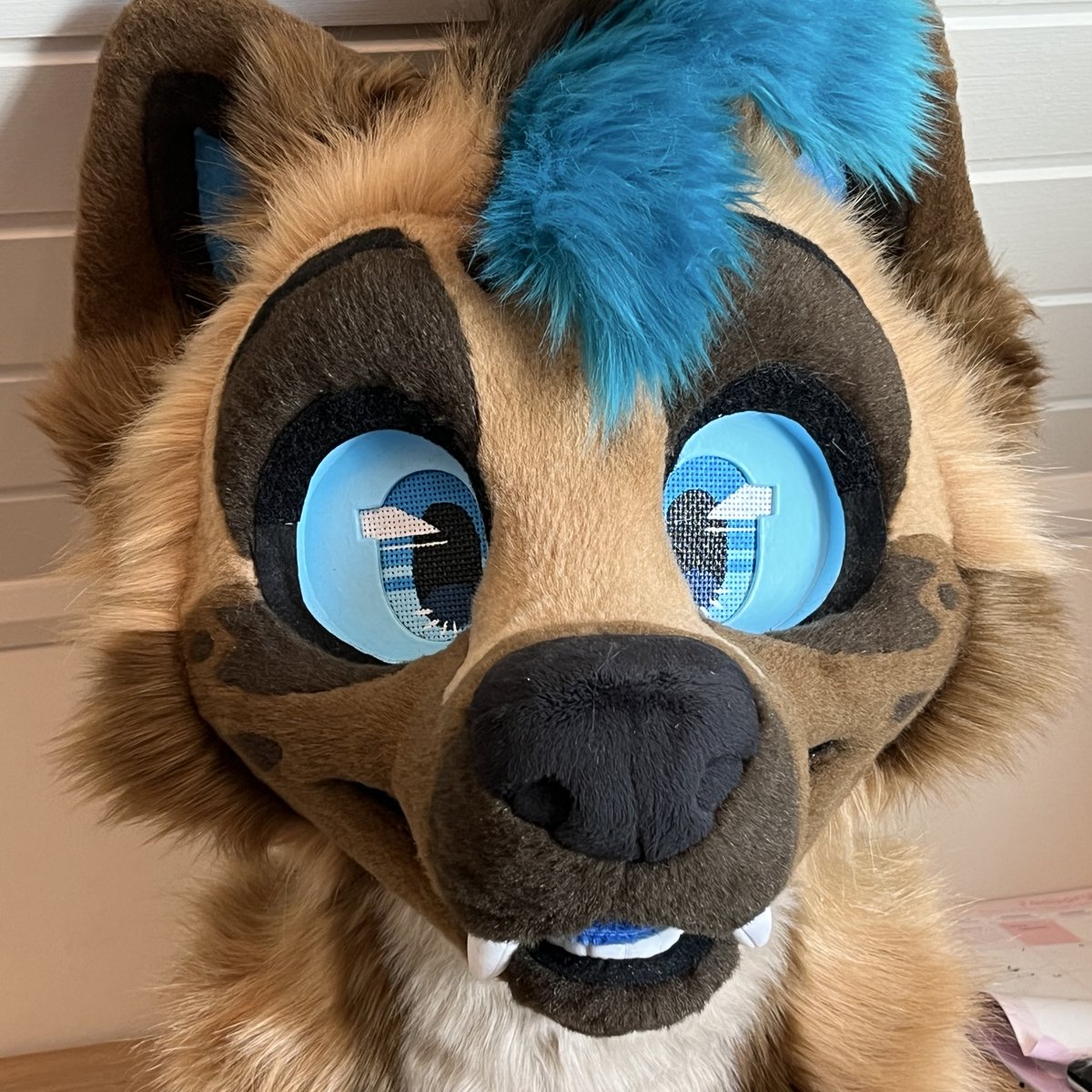 Just look at that face!