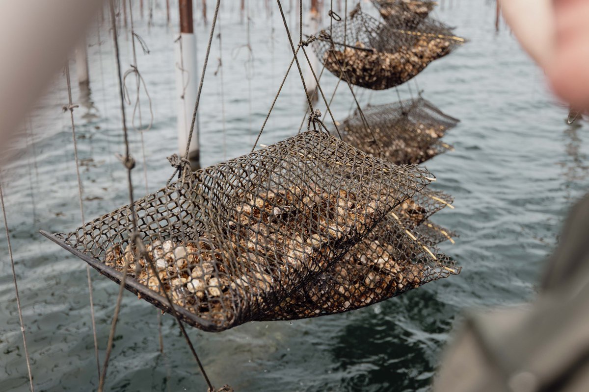 « Les normes européennes nous tuent. »

Partout en France, quelle que soit la profession, c’est le même cri d’alarme. Des technocrates et des politiciens dictent leur loi au mépris du bon sens. Il faut les arrêter.
