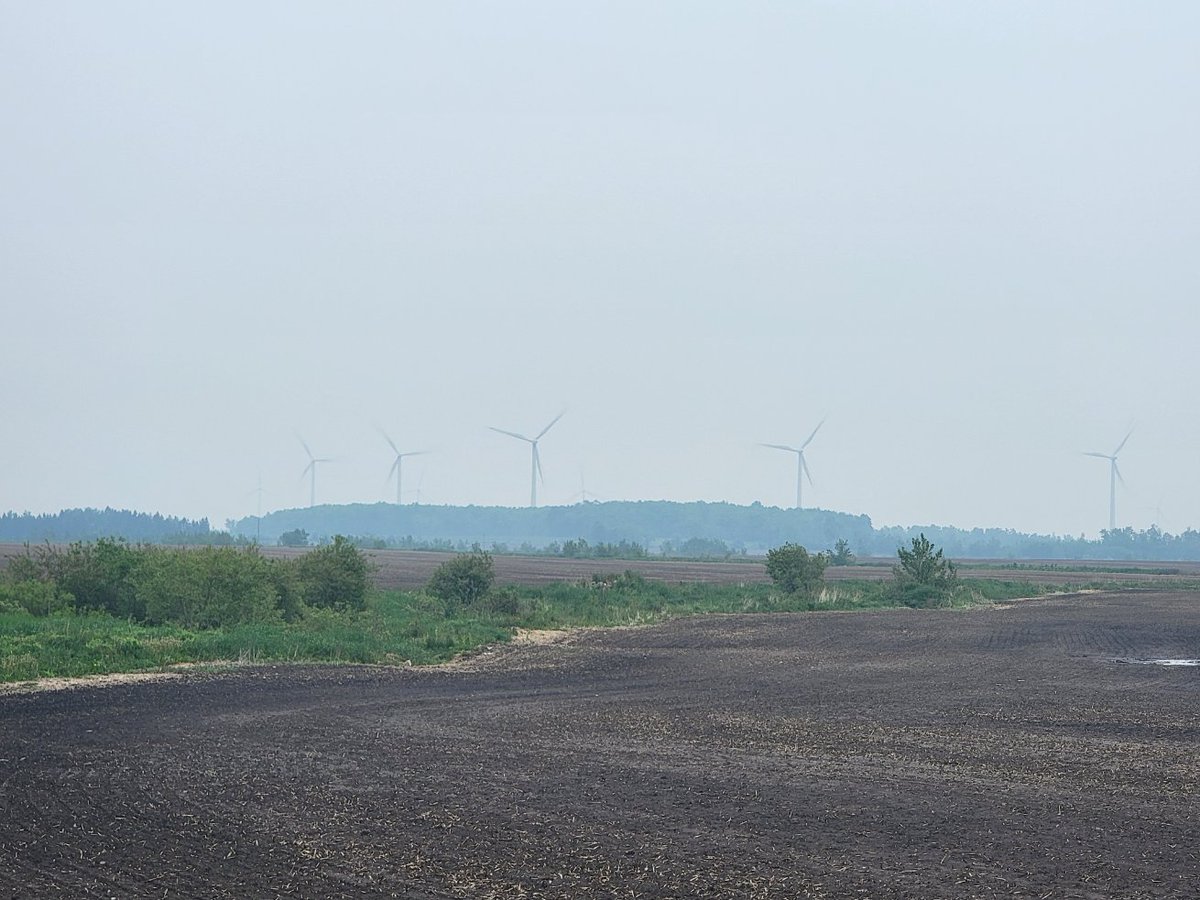 Cloudy day here but I can't get over the smoke, literally smells like you are standing right beside a green brush fire.