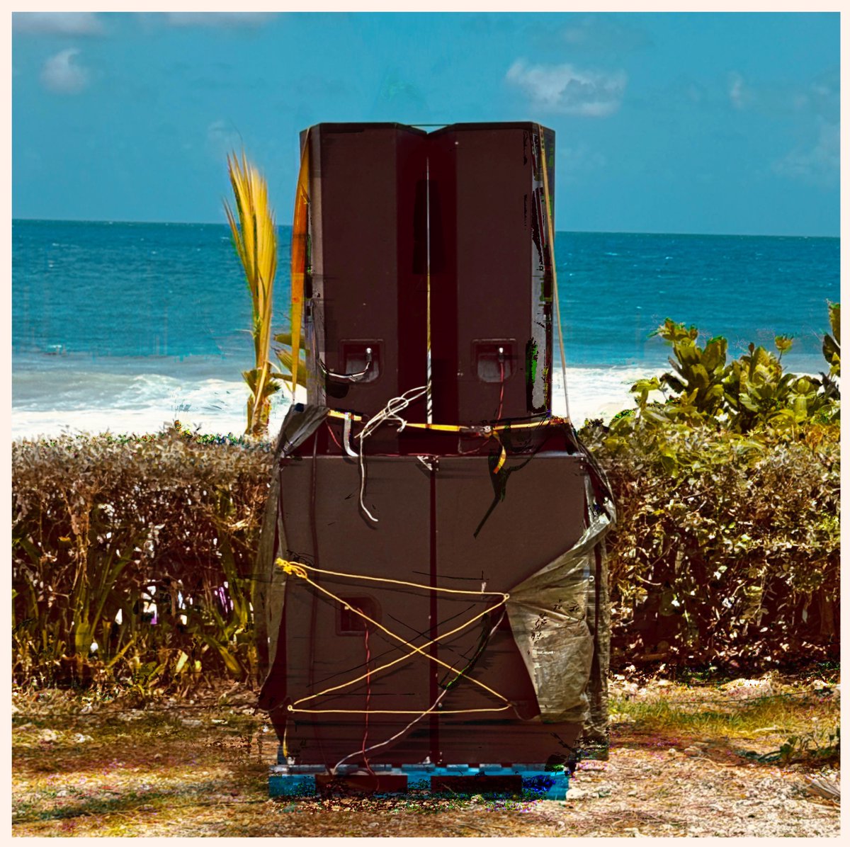 Sandro Perri tweet media