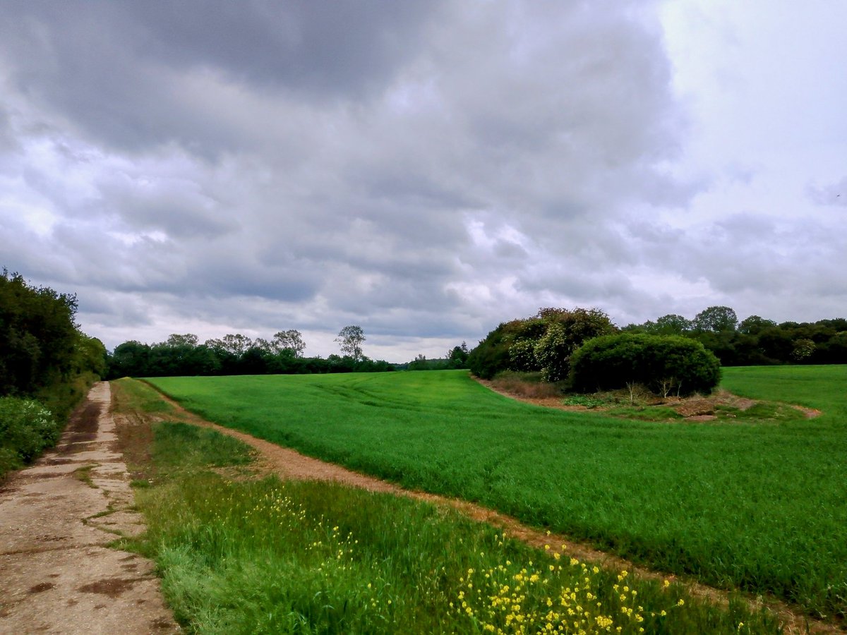 phil0073's tweet photo. #Fackley , maybe once a settlement or a wood clearance, more recently there was a Kiln here in 19th century for bricks ext. #FackleyLostVillage? On #Foxhall2HangingHoughton #PhilOnaBike #clouds #FridayFields #BywayFriday #FootpathFriday https://t.co/qFUrvTpSTL