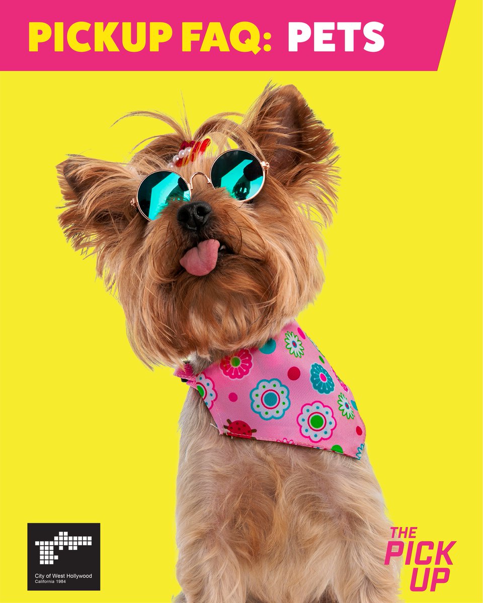 CAN I BRING MY PET ONBOARD THE #WEHOPICKUP? 🐶
Yes! If your pet 1) is well-trained &amp; 2) won’t freak out if another pet comes aboard. These guidelines will ensure a safe, comfortable &amp; clean experience for everyone and enable me to continue welcoming your furry friends! <a href="/WeHoCity/">City of West Hollywood</a>