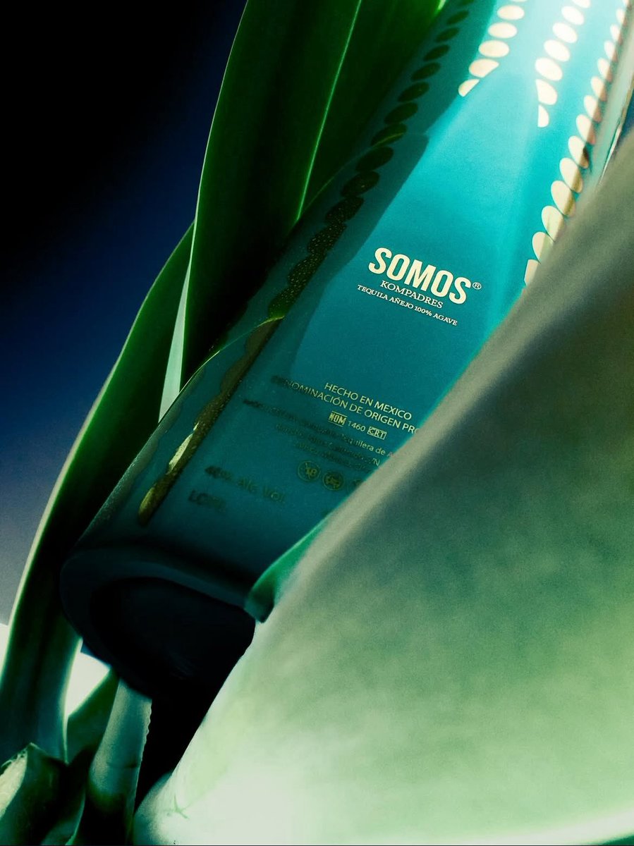 ジヨンがデザインに参加したテキーラのブランドsomosがInstagramを開設