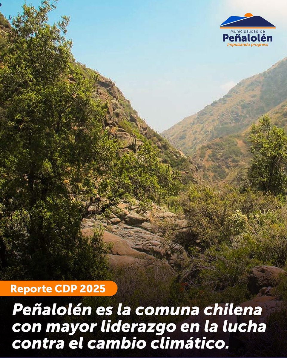 penalolen's tweet photo. En este #DíaDelMedioAmbiente, tenemos buenas noticias: ¡Peñalolén dentro de los líderes mundiales en el combate al cambio climático! 🏆 Nuestra comuna ha sido reconocida a nivel mundial como la única en Chile en alcanzar la prestigiosa Lista A del CDP (Carbon Disclosure Project) por su liderazgo en acción climática 🌎

Este reconocimiento internacional premia nuestro compromiso real con el medioambiente:

✅ Protección de la biodiversidad local, a través de áreas de conservación como el Parque Natural Quebrada de Macul. 
✅ Energía más limpia y eficiente, a través de energías renovables y eficiencia en recintos deportivos y colegios públicos. 
✅ Gestión sustentable de residuos, con más del 60% de cobertura comunal y una amplia red de puntos verdes para reciclaje y educación ambiental.
✅ Un desarrollo urbano sostenible y justo.