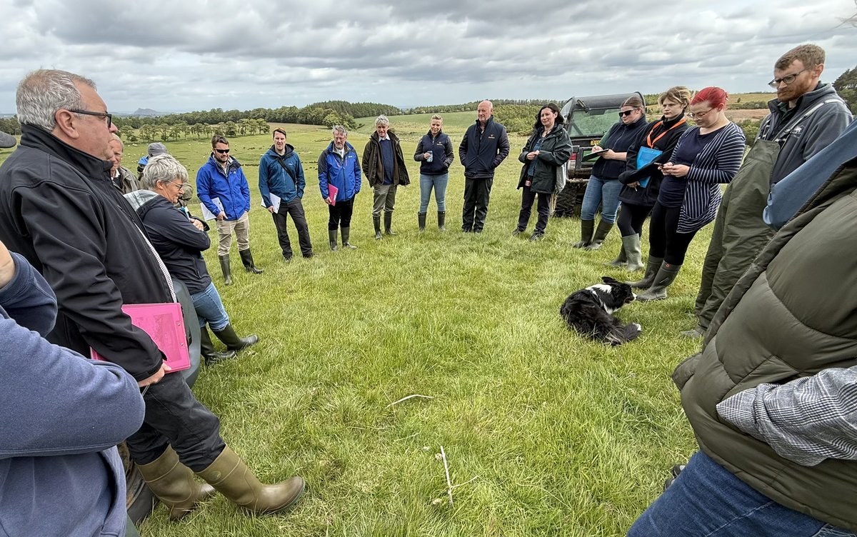 Philip Skuce tweet media