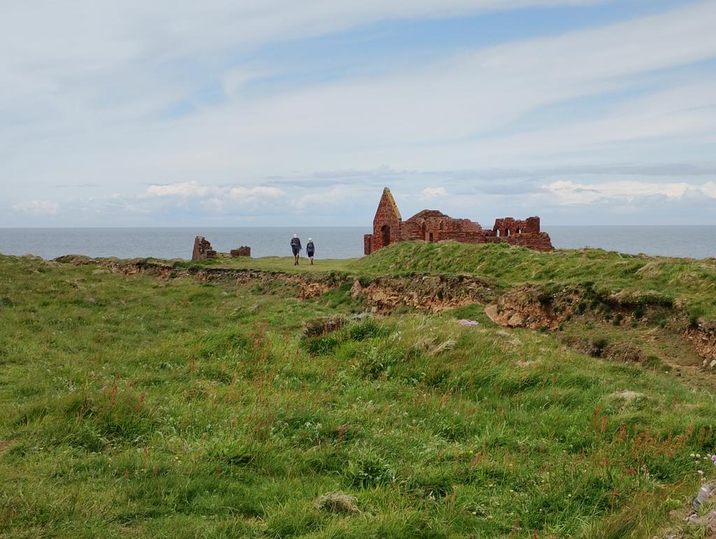 Steffani Wyn Davies tweet media