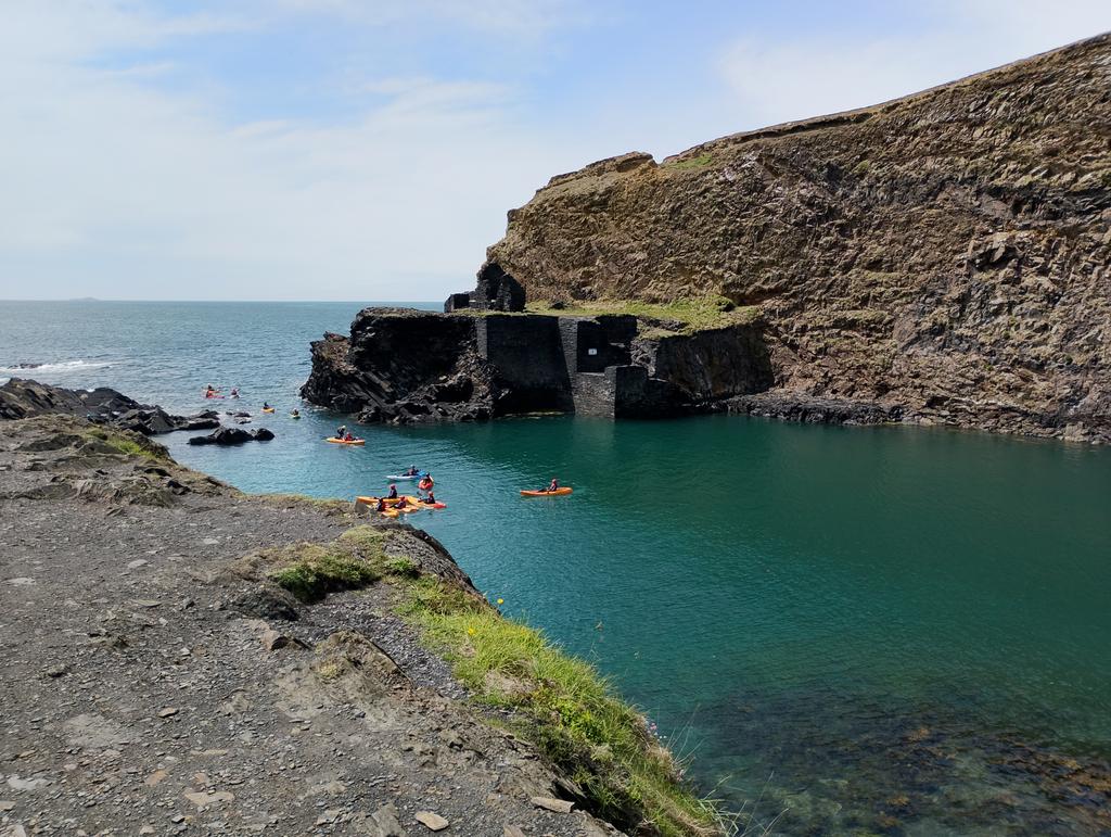 Steffani Wyn Davies tweet media