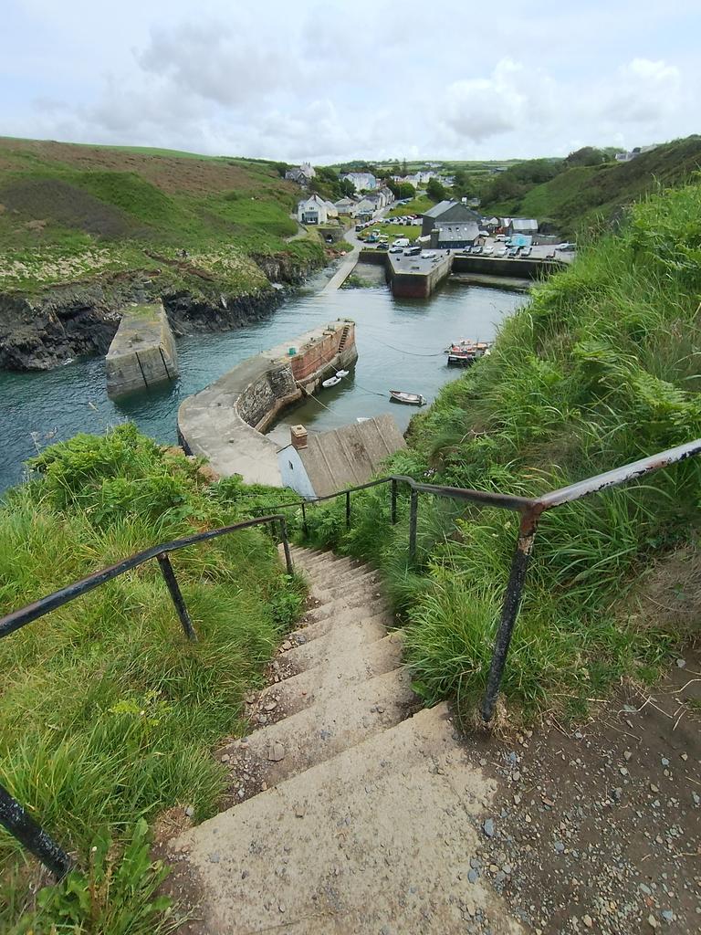 Steffani Wyn Davies tweet media