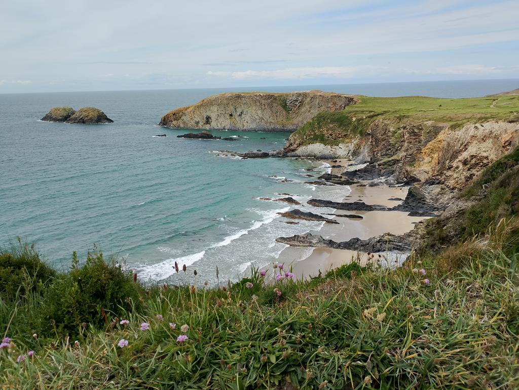 Steffani Wyn Davies tweet media