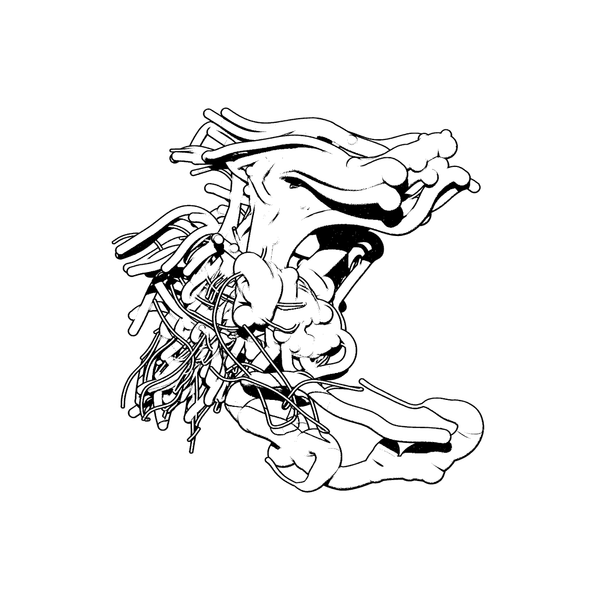 more...
MORE.
M O R E !