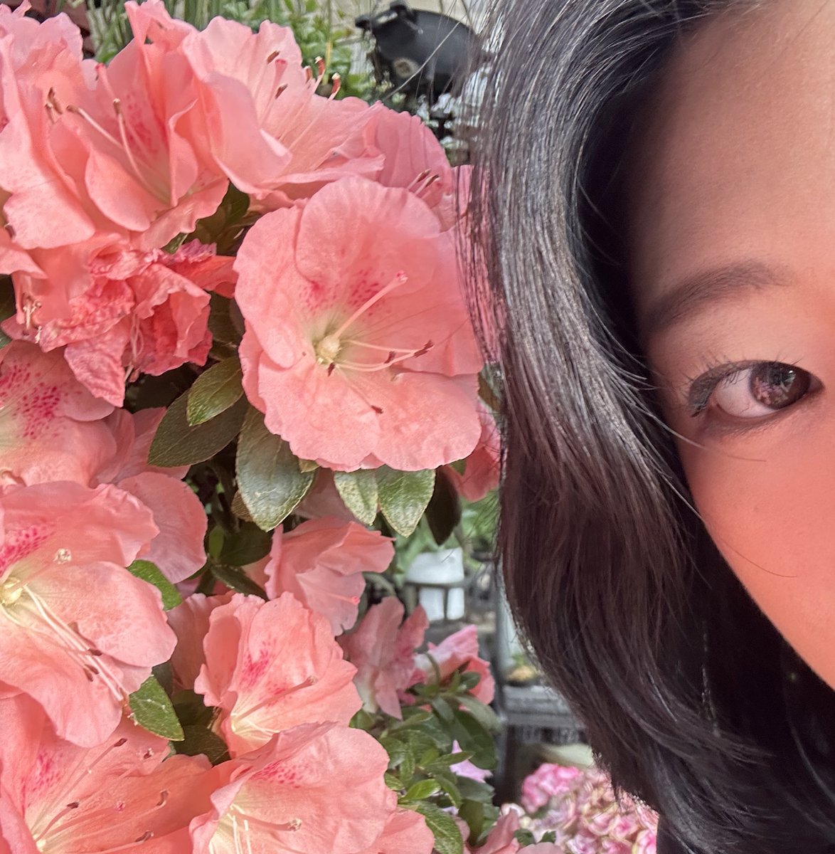 아빠가 농사지은것들