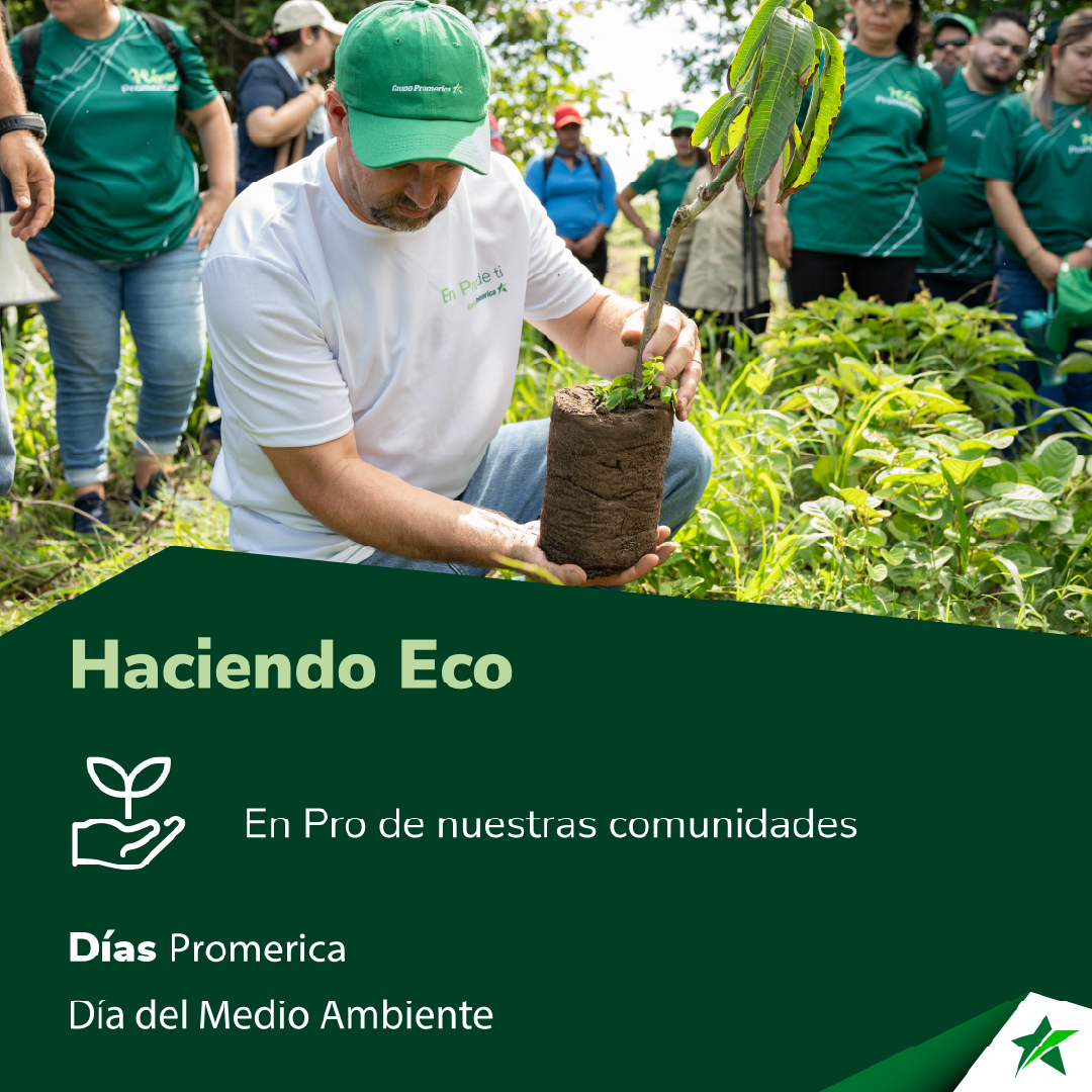 Hagamos Eco
Las pequeñas decisiones del día a día son las que tienen el mayor impacto a largo plazo. Desde cerrar el grifo hasta elegir productos locales, todo suma.
Cuidar el planeta es cuidar tu bienestar, tu salud, tu hogar y tu futuro.
Díadelmedioambiente