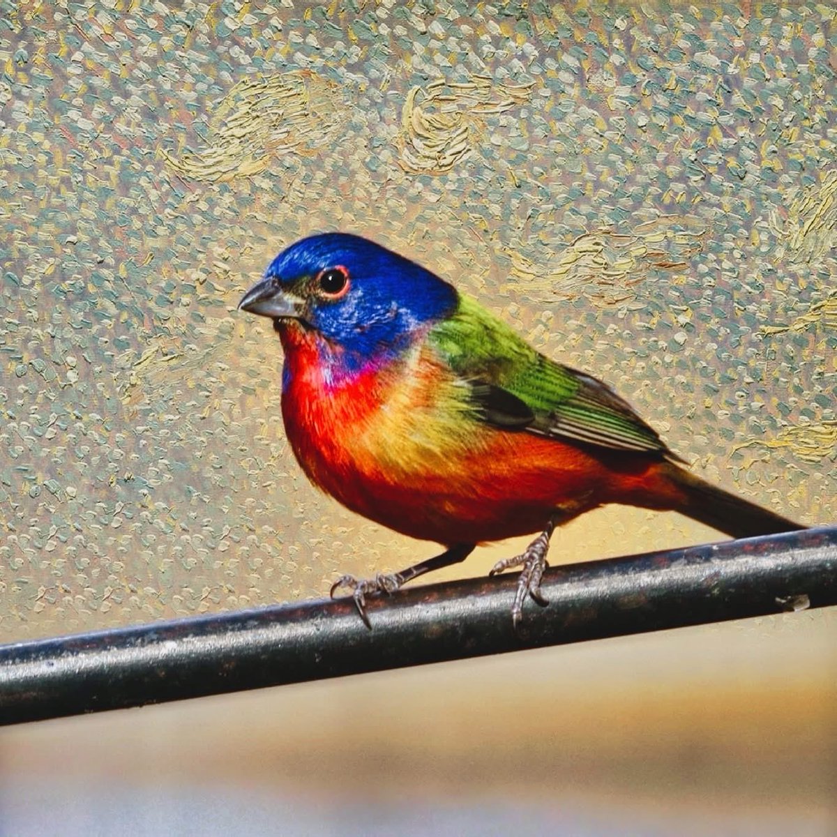 FerdCrotte's tweet photo. I have this available as a single, unique, high-quality NFT on OpenSea. Why don't you start (or add to) your collection?
https://t.co/4wd3q0CmF5
 #NFT #nonfungibletoken #ArtsyBirdsCollection #OpenSea #ETH https://t.co/ARaNLUAd2U