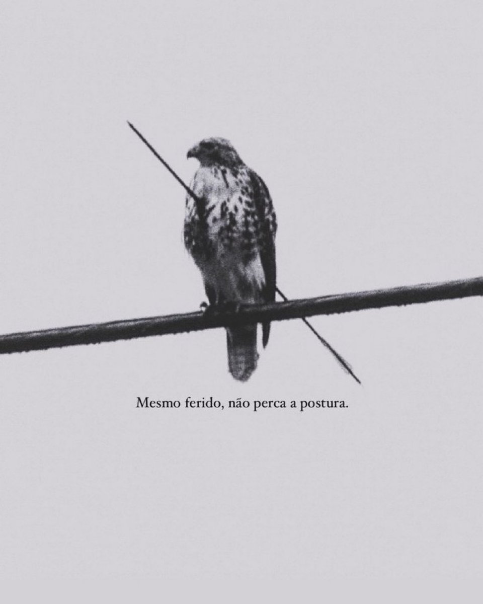 lembranças (@soulembrancas) on Twitter photo 