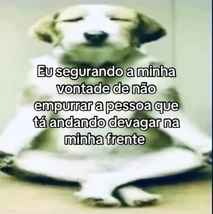 memes pra quem tem baixa autoestima  (@autoestimaposts) on Twitter photo 