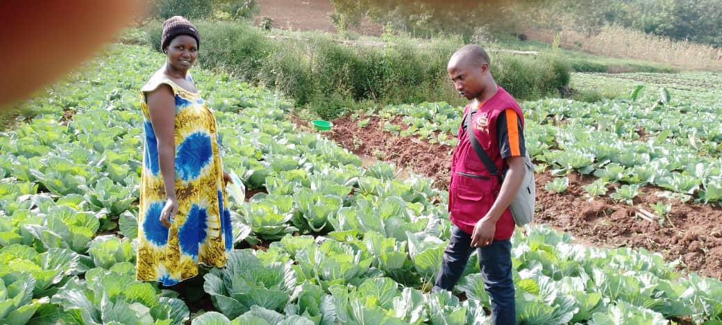 YEAN - Agriculture Extension & Advisory Services (@yean_agro) on Twitter photo Empowering Rwandan youth in the <a href="/RwandaEast/">𝐄𝐚𝐬𝐭𝐞𝐫𝐧 𝐏𝐫𝐨𝐯𝐢𝐧𝐜𝐞 | 𝐑𝐰𝐚𝐧𝐝𝐚</a> ! YEAN offers two pathways to success in agri-food systems:
1.Youth as Farm Service Providers: Delivering vital inputs & expert services. 2.Youth as Professional Farmers: Mastering modern, sustainable farming. Creating jobs & Empowering Rwandan youth in the <a href="/RwandaEast/">𝐄𝐚𝐬𝐭𝐞𝐫𝐧 𝐏𝐫𝐨𝐯𝐢𝐧𝐜𝐞 | 𝐑𝐰𝐚𝐧𝐝𝐚</a> ! YEAN offers two pathways to success in agri-food systems:
1.Youth as Farm Service Providers: Delivering vital inputs & expert services. 2.Youth as Professional Farmers: Mastering modern, sustainable farming. Creating jobs &