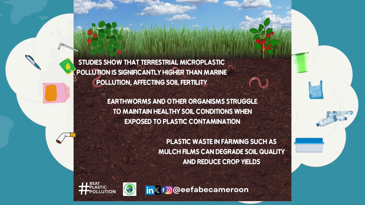 EEFABE-Cameroon tweet media