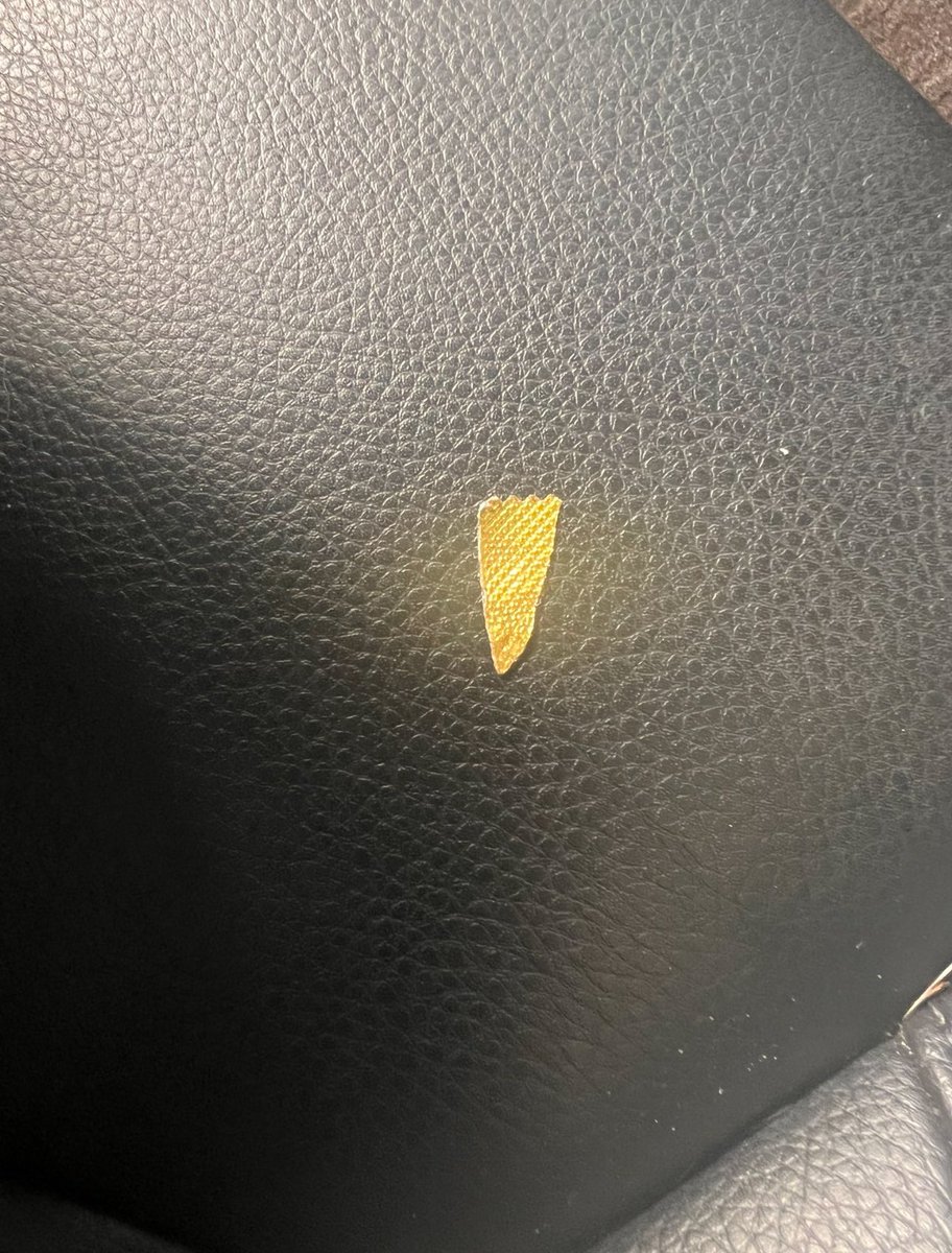 urfaveniggee's tweet image. I’m cleaning my girl car out and i find this on the passenger seat, tell me i ain’t trippin dawg