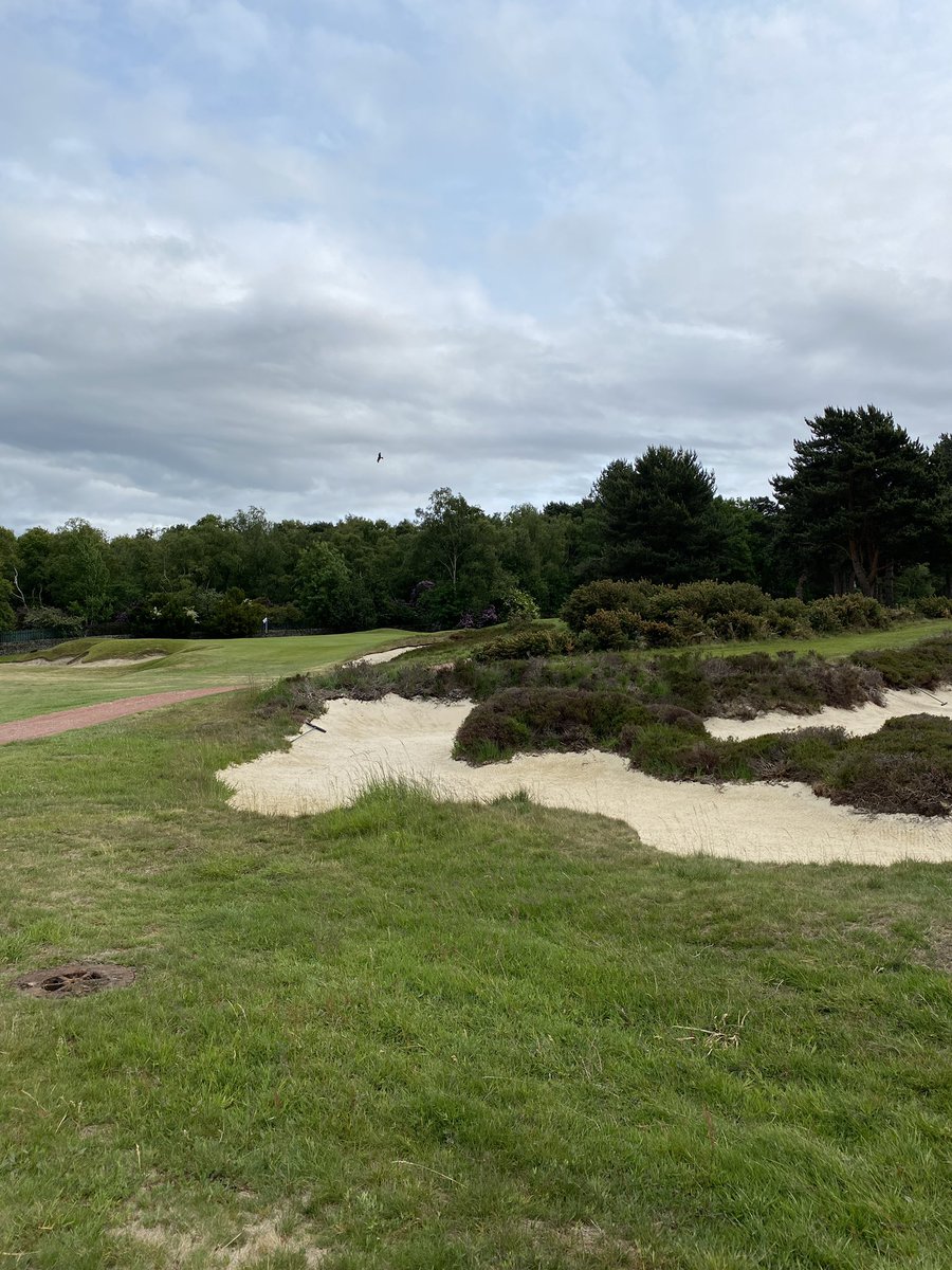 SteveCarroll77's tweet image. Well, @MoortownGC has mastered me again. Honestly, though, how good is this course? The recent changes have made it even better! Love the 5th now. Thanks to @EnglandGolf for the invite to their Captain’s event. The day was memorable even if my scoring wasn’t… 🏌️♂️⛳️