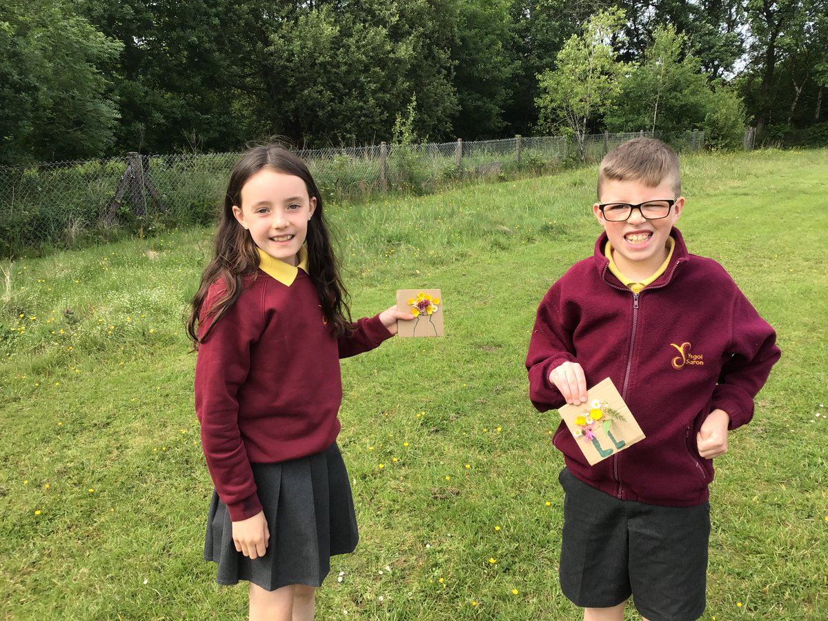 Aelodau Clwb Eco yn casglu blodau gwyllt wythnos yma🌺🌼Members of the Eco Club collecting wild flowers  this week🌸🌺🌼