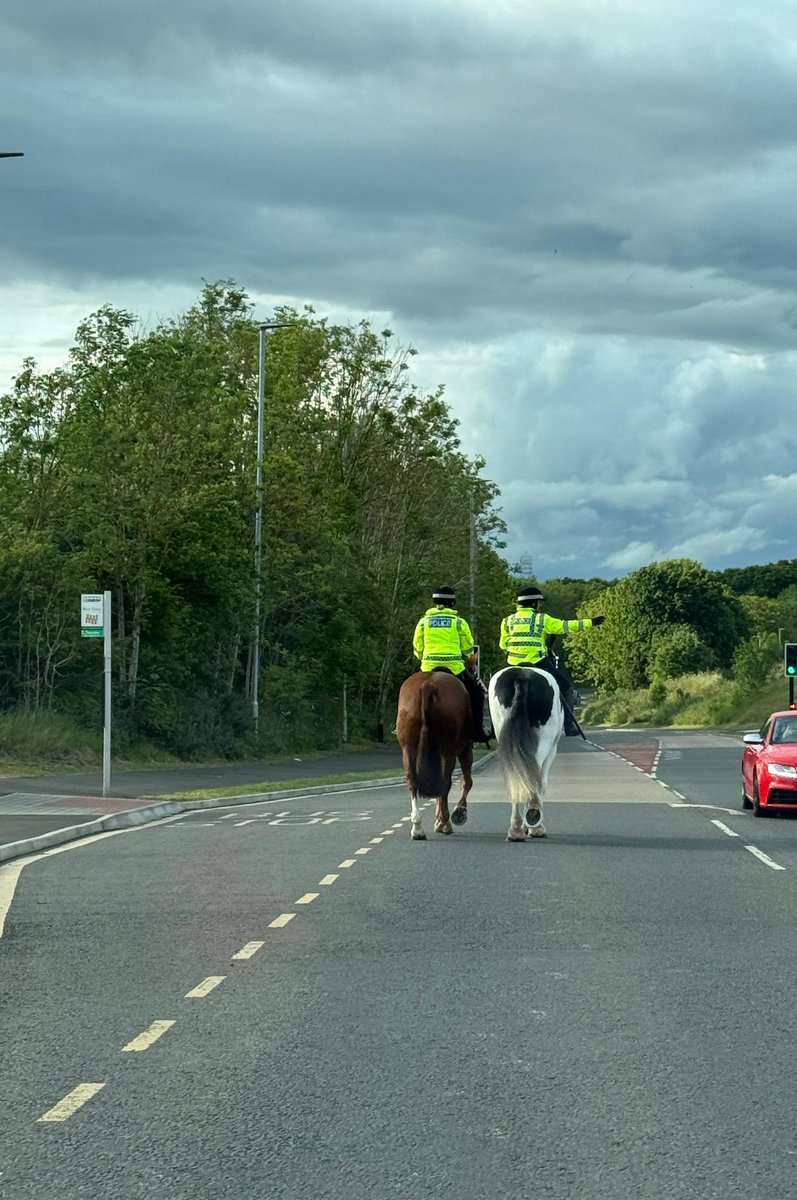 Great to see mounted patrols in Cramlington this evening - and motorists respecting them ✅️ <a href="/northumbriapol/">Northumbria Police</a>