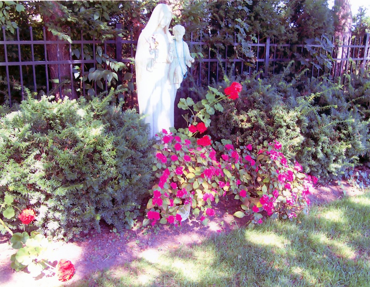 #Tbt: One of the beautiful gardens at Holy Childhood Convent on Beach Ave in Charlotte, tended by Sr Seraphine Herbst. Those who walked by would stop for a quiet prayer at the statue of Our Lady, which originally stood on the campus of Holy Childhood School on Andrews St.