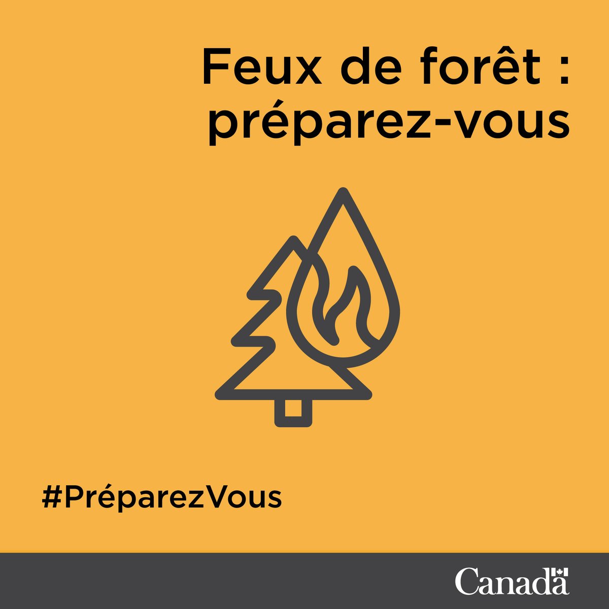 Trouvez toutes les informations dont vous avez besoin sur les #feuxdeforêt, y compris des détails sur la situation actuelle et comment vous protéger :
canada.ca/fr/securite-pu… #ABFeux #SKFeux #MBFeux #BCFeux #ONFeux #NWTFeux #YTFeux