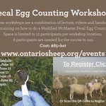 Photo by Ontario Sheep (@OntarioSheep)