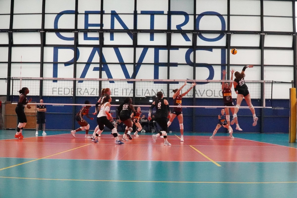 Alec Rothe tweet media