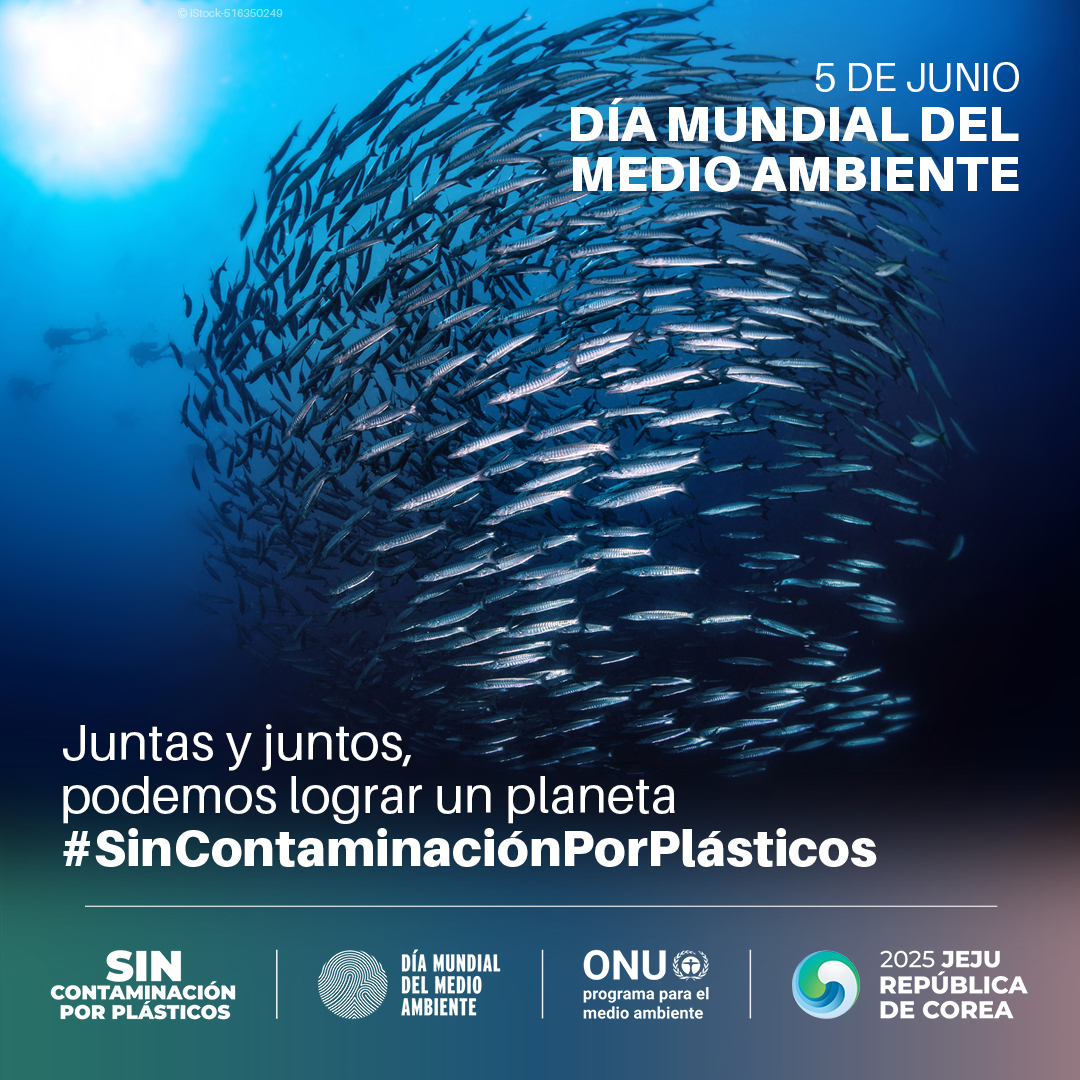 🌍 Este #DíaMundialDelMedioAmbiente, 🇲🇽se suma al llamado global por un planeta más limpio, justo y sostenible.
♻️ Rechazar, reducir, reutilizar, reciclar y repensar es actuar por la salud, la biodiversidad y nuestro futuro común.

#ActúaAhora 🇲🇽 #SinContaminaciónPorPlásticos