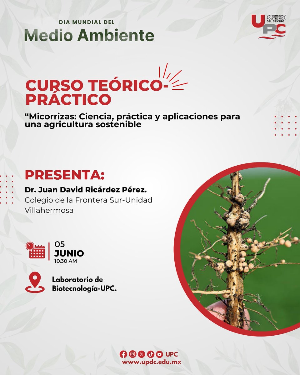 DÍA MUNDIAL DEL MEDIO AMBIENTE | UPC 📷
Este 5 de junio a las 9:00 h, únete a nosotros en una jornada dedicada a cuidar nuestro planeta.
#upc #papillonesrojos📷 #diamundialdelmedioambiente