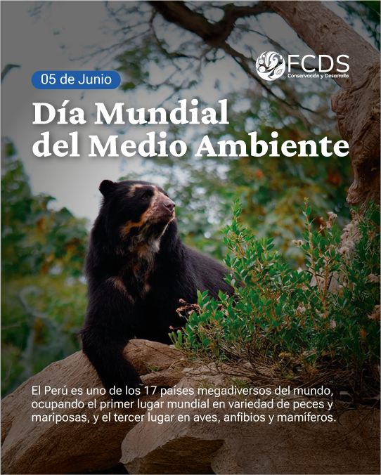 FCDS_Peru's tweet image. 🌍✨ En el #DíaMundialDelMedioAmbiente, reafirmamos nuestro compromiso por la construcción de un futuro más verde, justo y resiliente. Renovamos el impulso hacia un desarrollo verdaderamente sostenible, basado en políticas eficaces, instituciones sólidas y una ciudadanía…
