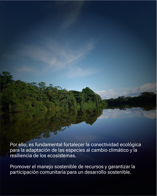 FCDS_Peru's tweet image. 🌍✨ En el #DíaMundialDelMedioAmbiente, reafirmamos nuestro compromiso por la construcción de un futuro más verde, justo y resiliente. Renovamos el impulso hacia un desarrollo verdaderamente sostenible, basado en políticas eficaces, instituciones sólidas y una ciudadanía…