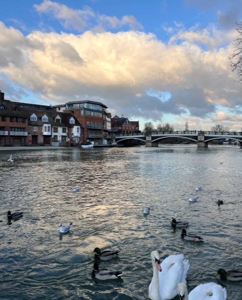 Sun-kissed streets and crisp London air… Perfection! ✨