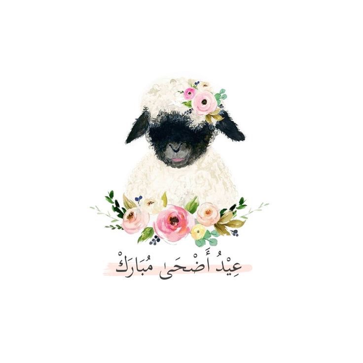 Shoroug Althaqafi tweet media