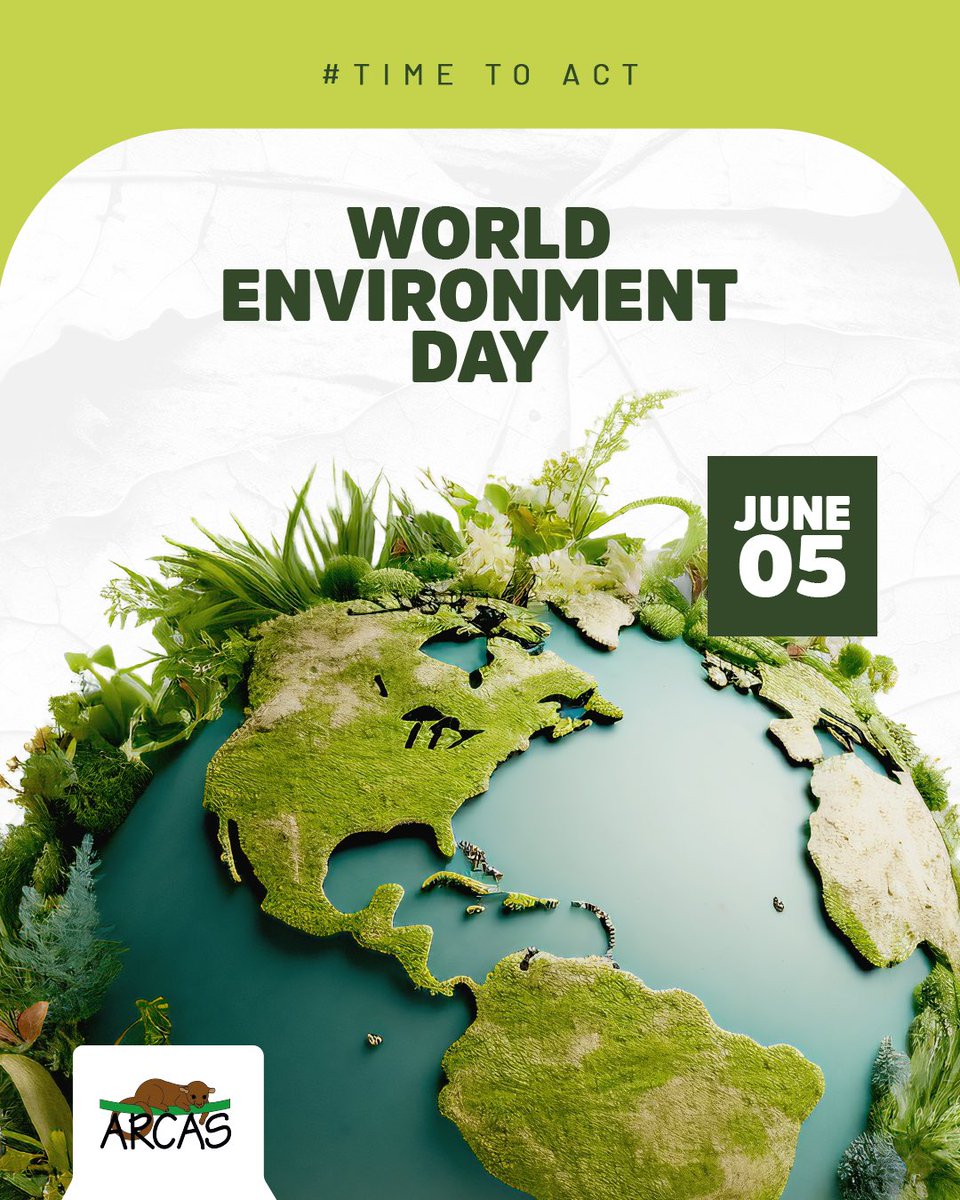 Hoy es el #DíaMundialDelMedioAmbiente
Es #TiempoDeActuar: cada acción cuenta para proteger nuestro planeta.
🌱 Reduce, reutiliza, respeta.
🌿 La Tierra es nuestro único hogar.
#ARCAS #MedioAmbiente #Conservación #NaturalezaViva