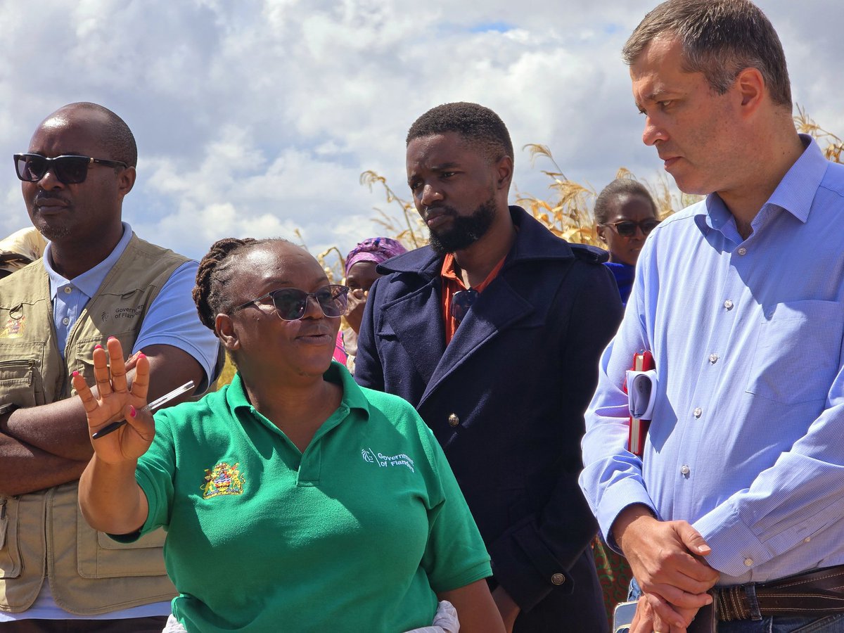 FAO Malawi (@faomalawi) on Twitter photo General Rep of Flanders for Southern Africa <a href="/ThomasCastrel/">General representative of Flanders Thomas Castrel</a> visited farmers implementing low cost sustainable soil & water management techniques under the FAO <a href="/Flanders_DFA/">Flanders DFA</a> funded project in Mzimba.
He was joined by FAO Assistant Rep in Malawi <a href="/GeorgeMvula/">george Mvula</a>
<a href="/BabaganaAhmadu/">BABAGANA AHMADU</a> General Rep of Flanders for Southern Africa <a href="/ThomasCastrel/">General representative of Flanders Thomas Castrel</a> visited farmers implementing low cost sustainable soil & water management techniques under the FAO <a href="/Flanders_DFA/">Flanders DFA</a> funded project in Mzimba.
He was joined by FAO Assistant Rep in Malawi <a href="/GeorgeMvula/">george Mvula</a>
<a href="/BabaganaAhmadu/">BABAGANA AHMADU</a>