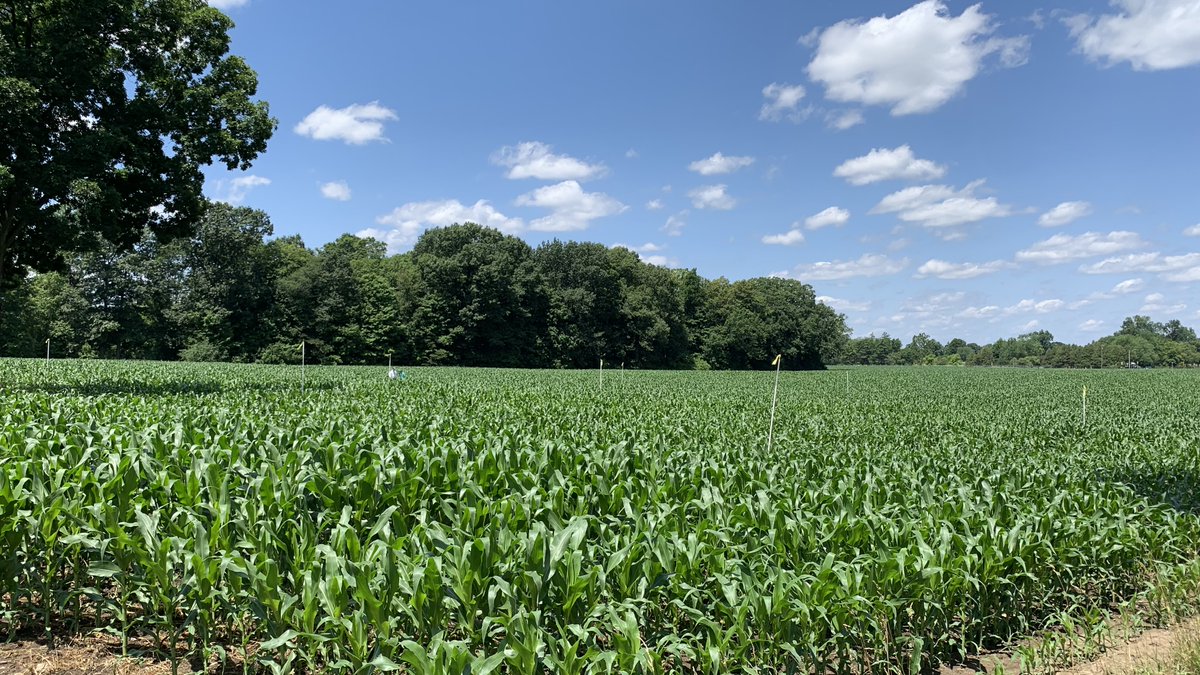 At <a href="/michiganstateu/">MSU</a>, scientists are spearheading next-generation anaerobic digestion technologies that convert agricultural and food waste into renewable energy, recover nutrients and water, and support environmental sustainability.

READ: canr.msu.edu/news/transform…