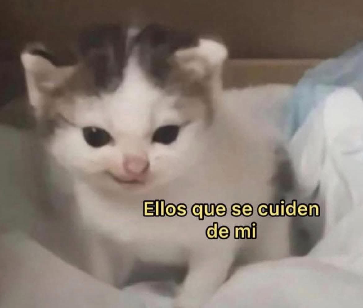 Cuando mi dad me dijo que me cuide en el viaje al cumpleaños de <a href="/LordNekito/">Lord Nekito🧓 🚗 atropellador de abuelitas</a> 
Yo en corto: