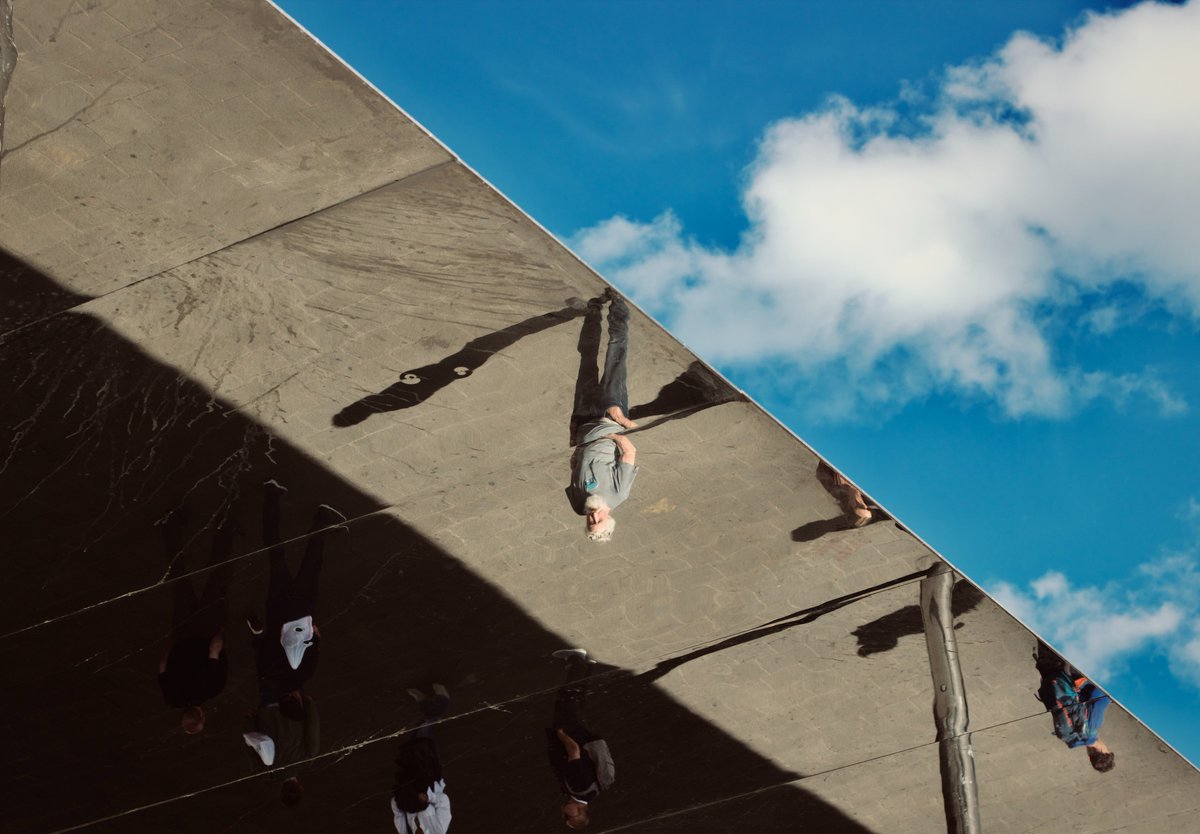 Zelkova ✧ 🇵🇸 tweet media