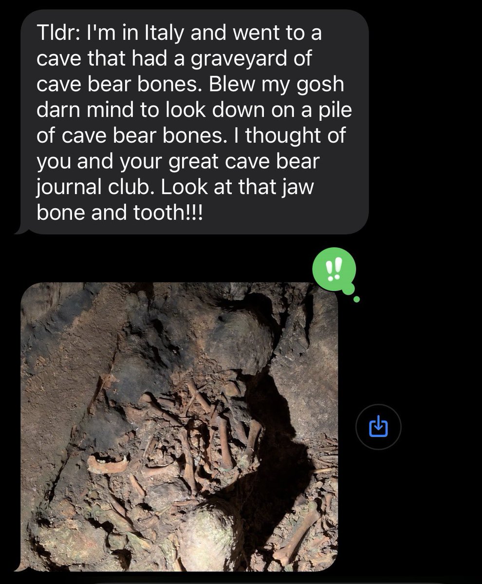 FakeDrTom's tweet photo. @jmichaethompson @DollyZoom Max doesn’t roam these parts anymore, but thought you guys would appreciate what he just sent me. https://t.co/DfIjfFEq5J
