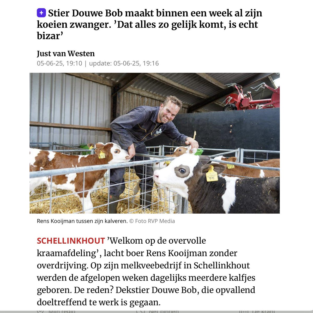 Michel de Groot tweet media