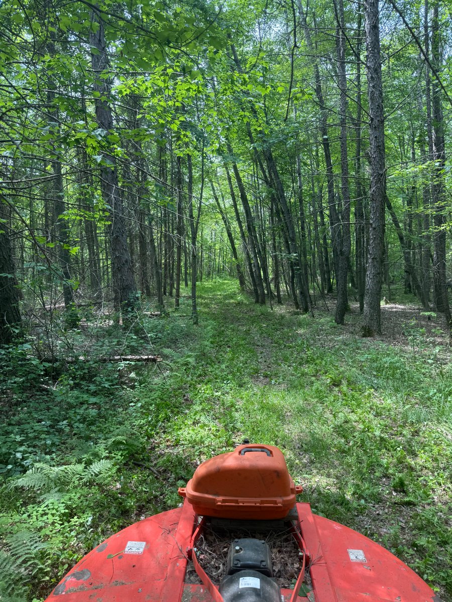 Crow Wing County (@crowwingmn) on Twitter photo Land Services Staff started mowing the 13 hunter hiker trails in CWC. The trails are mowed twice a year, once in June & again in Sept. Stop by Land Services to grab a trail map & ask if your favorite trail has been mowed. Contact them at 218-824-1010 or landservices@crowwing.gov Land Services Staff started mowing the 13 hunter hiker trails in CWC. The trails are mowed twice a year, once in June & again in Sept. Stop by Land Services to grab a trail map & ask if your favorite trail has been mowed. Contact them at 218-824-1010 or landservices@crowwing.gov