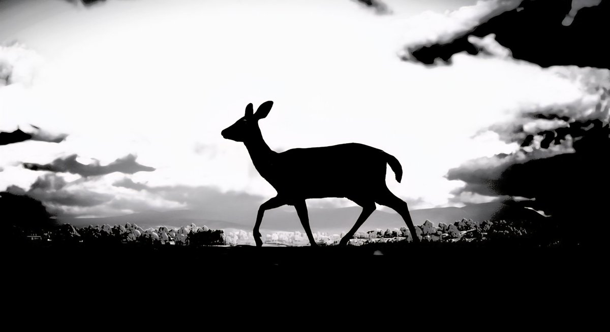 Red Dead Redemption 2 🖤🤍

Share of the week Monochromatic 
<a href="/PlayStation/">PlayStation</a> #RDR2 #PSShare #PSBlog #SantaMuerteGang <a href="/RockstarGames/">Rockstar Games</a>