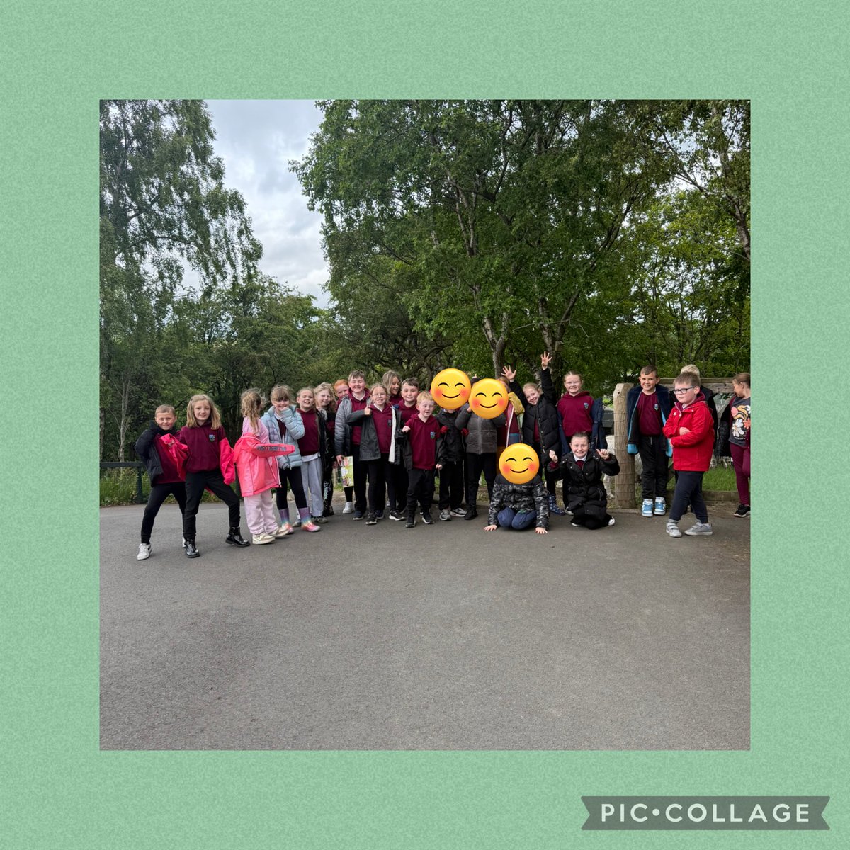 P4b enjoying their zoo visit. 😁