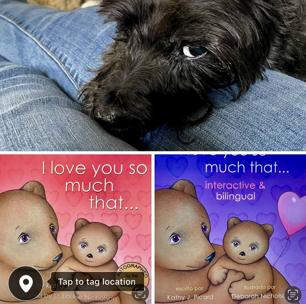 “Really… Another Picture Mom”?🐾

“Don’t we post enough about your Children’s Book… I mean OUR Children’s Book that I am in it and EVEN “Paw Sign” it”!!🐾

“Get your copy today on Amazon or through my Mom”!

Love Abby🐾🐾

#dogs #schnauzer #children #booksbooksbooks #cute #kids