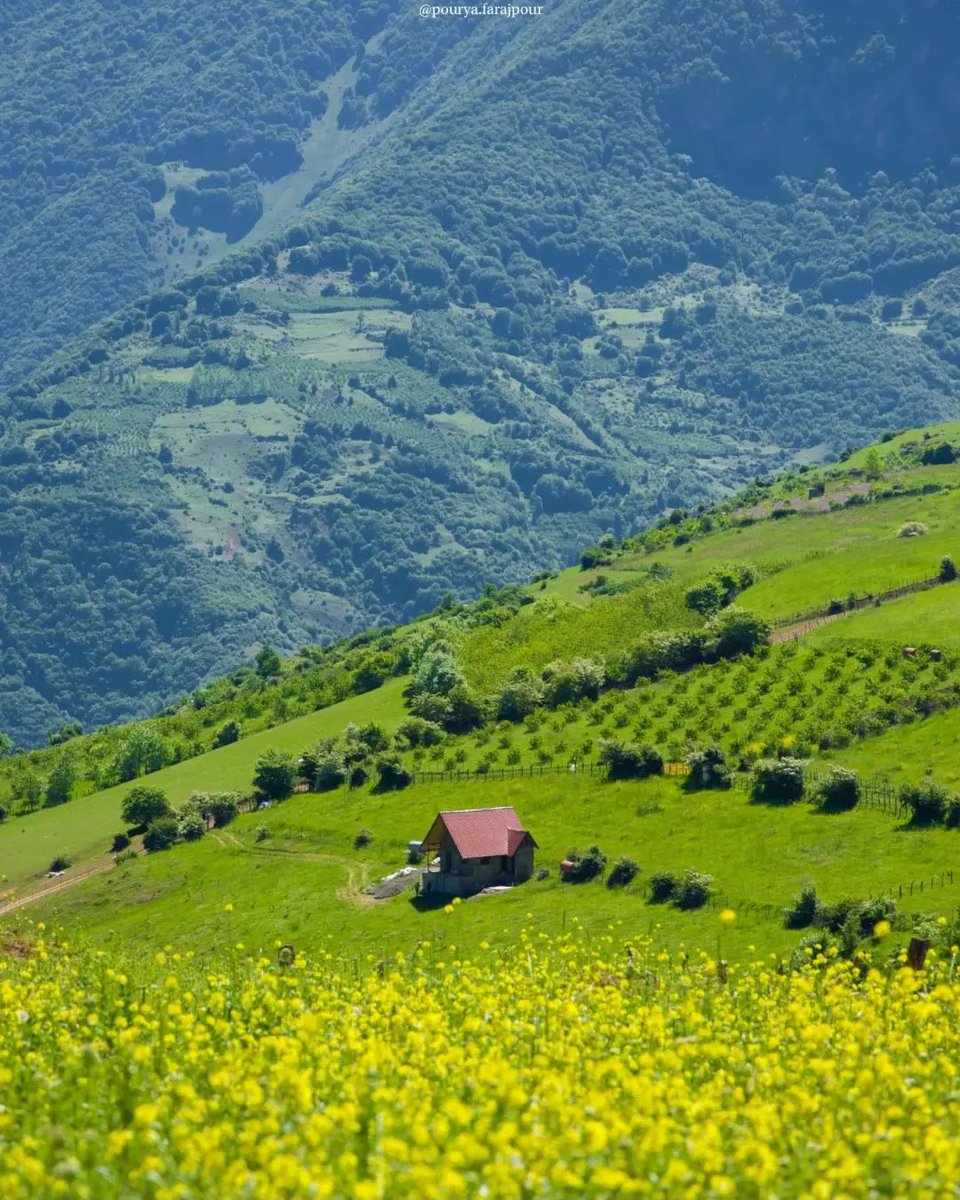 ارتفاعات رودسر

📸 : Pourya farajpour