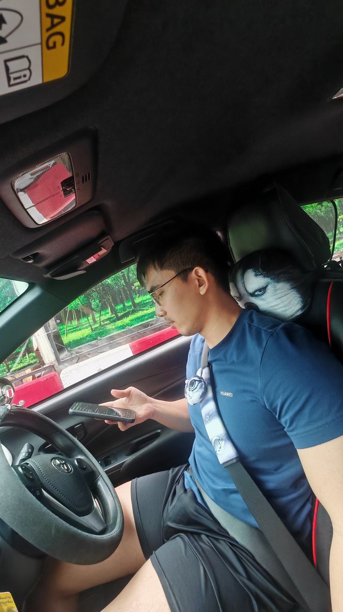 หมอนหมาเด่นมาก