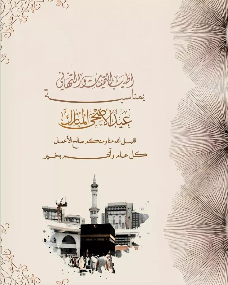 🏹سهم حرب tweet media