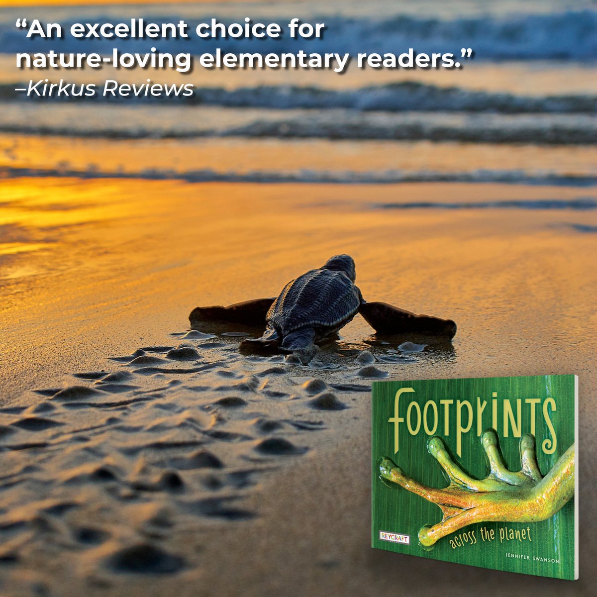 Reycraft Books (@reycraftbooks) on Twitter photo In Jennifer Swanson's award-winning โFootprints Across the Planet,' every footprintโfrom the physical to the digital and the permanent to the fleetingโleaves a mark and a story. Explore them across the globe with your readers. <a href="/JenSwanBooks/">๐๐Jennifer Swanson- Children's author</a>
Order Nowโ hubs.ly/Q03nc8hb0 In Jennifer Swanson's award-winning โFootprints Across the Planet,' every footprintโfrom the physical to the digital and the permanent to the fleetingโleaves a mark and a story. Explore them across the globe with your readers. <a href="/JenSwanBooks/">๐๐Jennifer Swanson- Children's author</a>
Order Nowโ hubs.ly/Q03nc8hb0
